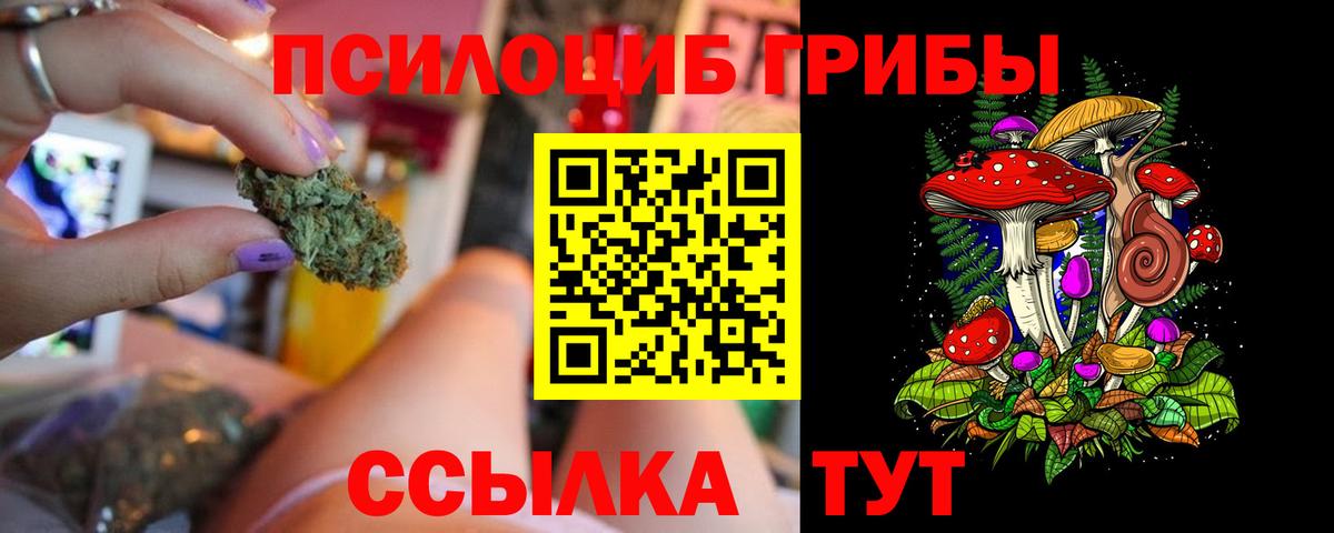 Галлюциногенные грибы мицелий Ачинск